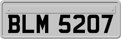 BLM5207