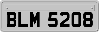BLM5208