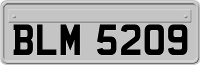 BLM5209