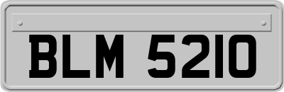 BLM5210
