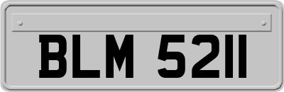 BLM5211