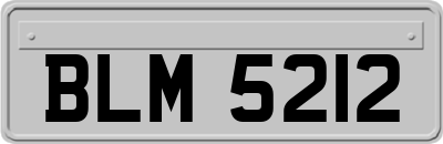 BLM5212