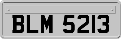 BLM5213