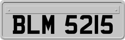 BLM5215