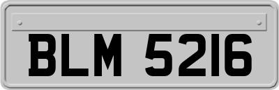 BLM5216