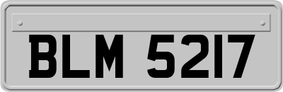 BLM5217