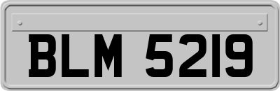 BLM5219