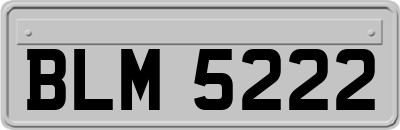 BLM5222