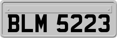 BLM5223