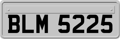 BLM5225