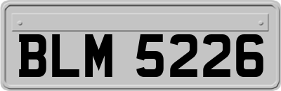 BLM5226