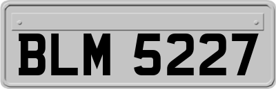 BLM5227