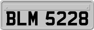BLM5228