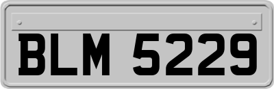 BLM5229