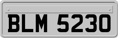 BLM5230