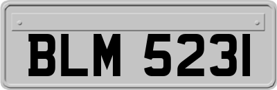 BLM5231