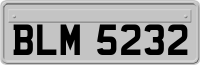 BLM5232