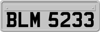 BLM5233