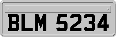 BLM5234