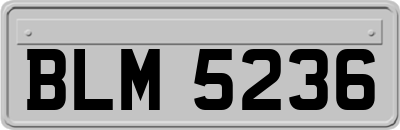 BLM5236