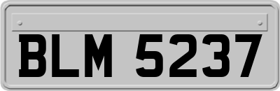 BLM5237