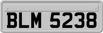 BLM5238