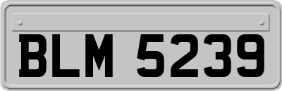 BLM5239