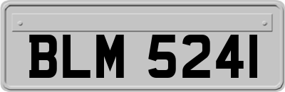 BLM5241