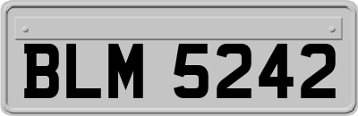 BLM5242