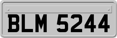 BLM5244