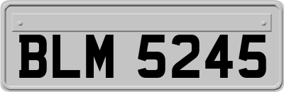 BLM5245