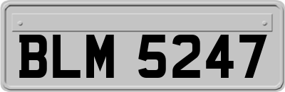 BLM5247