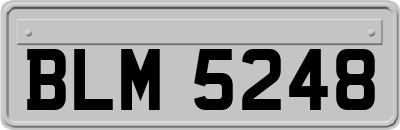 BLM5248