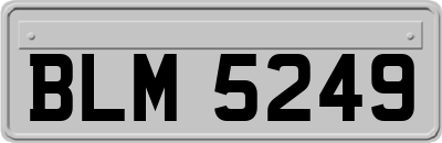 BLM5249