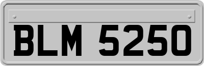 BLM5250