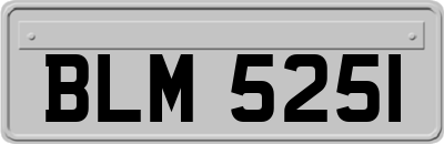 BLM5251