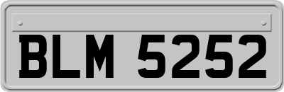 BLM5252