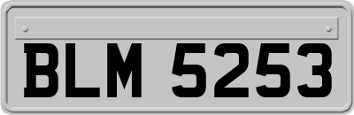 BLM5253