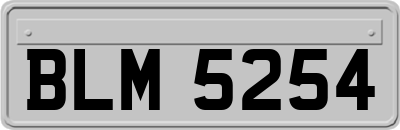 BLM5254