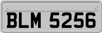 BLM5256