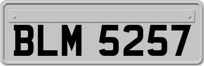 BLM5257
