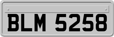 BLM5258