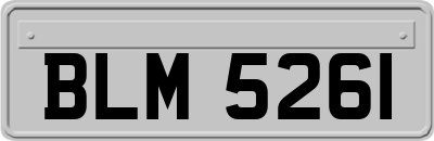 BLM5261