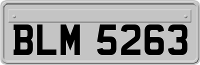 BLM5263