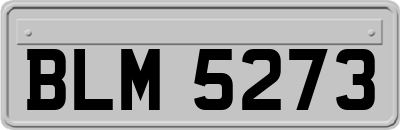 BLM5273