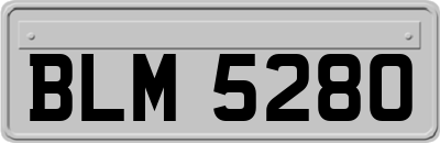 BLM5280
