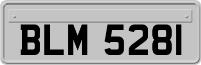 BLM5281