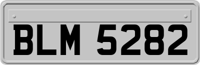 BLM5282