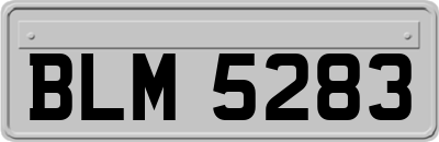 BLM5283