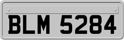 BLM5284